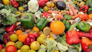 Innovative Solutions To Tackle Food Waste And Climate Change