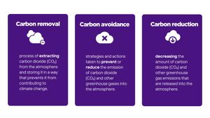 Innovative Carbon Removal Strategies Face Major Scrutiny