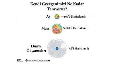 Okyanuslarımızın Çoğunu Tanımıyoruz!