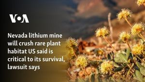 Nevada Lithium Mine Faces Legal Challenges Over Endangered Wildflower