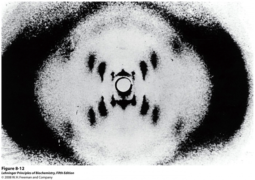 DNA'nın ikili sarmal yapısını ortaya çıkaracak olan X-Işını kristalografisi sonuçlarından birisi...