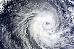 Kasırga Okyanusta Beklenmedik Ekolojik Değişim Yarattı!