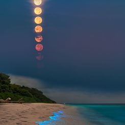  A Full Plankton Moon 