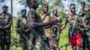 Escalation Of M23 Rebellion Triggers Humanitarian Crisis In Eastern Congo