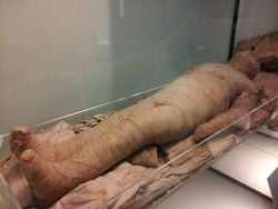 Cesetleri mumyalarsak gelecekte reankarnasyonu mümkün kılabilir miyiz? Böyle bir teknoloji çalışması var mı ya da böyle bir çalışma başlatabilir miyiz?