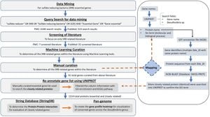 New NLP Method Revolutionizes Gene-Function Mining From Literature