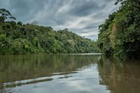 Tensions Rise as US Diplomats Travel to Brazil’s Amazon, Focusing on Deforestation, Sustainable Tourism, and Trade Issues: Important Details to Know - Travel And Tour World