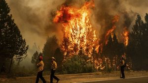 California Wildfires Near Full Containment After Rain Relief