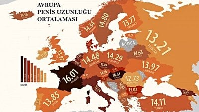 Avrupa'da Penis Uzunluğu Ortalaması Nedir?