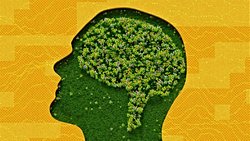 Yapay Zeka Hissedebilir mi? Yapay Zeka, Hissedebilirlik Kapasitesine Sahip Olmadan Yapay Genel Zekaya Ulaşabilir mi?