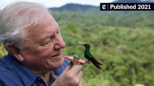 David Attenborough Explores Chameleons And Coral Reefs