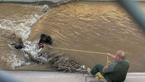 Citizen Rescued From Drowning By Border Guards