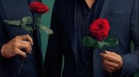 „Die Bachelors“: RTL macht es offiziell – Papas auf Rosenmission