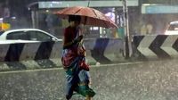 Bengaluru Weather: IMD Forecasts Rain For Garden City, Four Karnataka Districts Over Next Two Days | Forecast