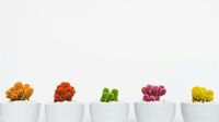 Tendencias de decoración minimalista con los productos de Muji