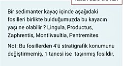 bir sedimanter kayaç içinde aşağıdaki fosilleri birlikte bulduğumuzda bu kayacın yaşı ne olabilir?