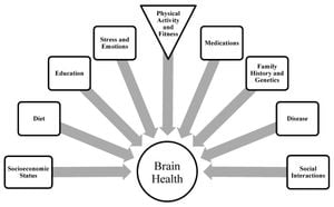 Physical Activity Linked To Better Cognitive Function Among Malaysian Seniors