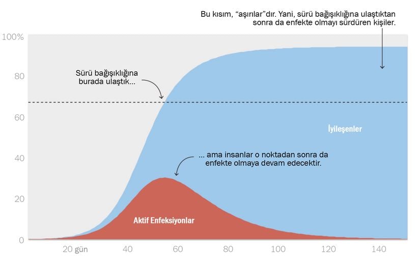 Sürü bağışıklığından sonrası... Daha fazla enfeksiyon!