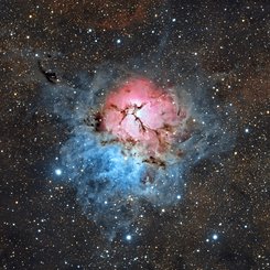 A Beautiful Trifid