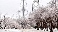 Is the Texas power grid ready for winter weather? Here's what ERCOT says