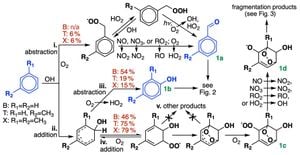 Theoretical Study Reveals Acrolein's Reaction With NO3 Radicals