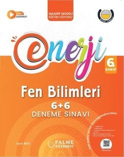 PALME 6.SINIF ENERJİ 6+6 FEN BİLİMLERİ DENEME SINAVI