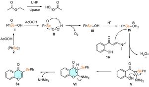 New Method Revolutionizes Selenylation Of Allenols For Enhanced Organic Synthesis