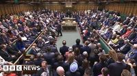 Assisted dying bill: What happens next?