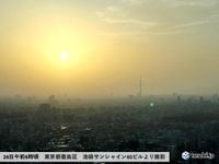 26日も花粉が大量飛散　スギに加えてヒノキも　さらに黄砂の飛来にも注意(気象予報士 小野　聡子)