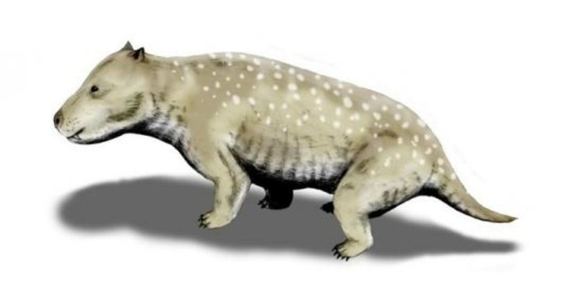 Exaeretodon