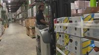 SNAP cuts could leave some NC students hungry