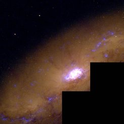 NGC 1808: Yakınımızdaki Bir Yıldız Patlaması Gökadası