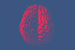 Araştırmalar Son 13 Yılda Flynn Etkisinin Tersine Döndüğünü Gösteriyor!