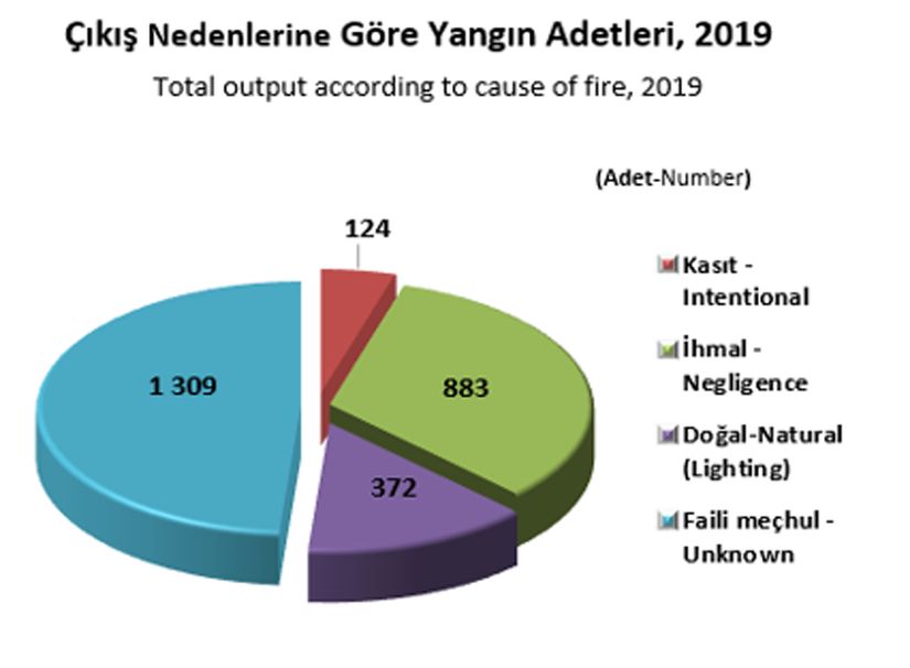 Çıkış Nedenlerine Göre Yangın Adetleri, 2019