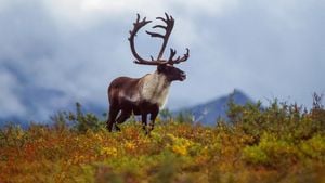 Arctic Tundra Turns From Sink To Carbon Source