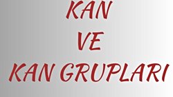 KAN VE KAN GRUPLARININ ÖZELLİKLERİ (BÖLÜM 2)