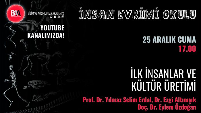 İnsan Evrimi Okulu - 3. Bölüm