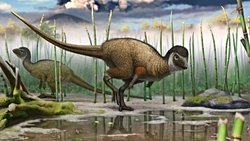 Sibirya Fosil Bulgusu "Tüylü Dinozorlar Dönemi" İddiasını Güçlendiriyor!