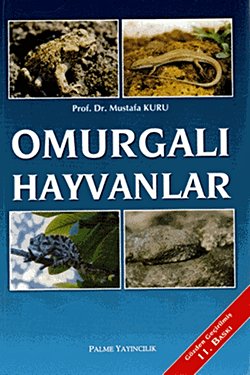 Omurgalı Hayvanlar