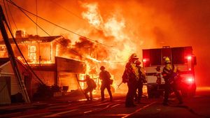 Budget Cuts Threaten Los Angeles Fire Department's Emergency Response