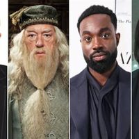 Harry Potter Series Reveals the Cast: John Lithgow and More to Star
