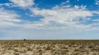 Namibia sends in army to fight devastating wildfire in Etosha game reserve | CNN