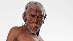 İnsanın Soy Ağacı: Homo sapiens Türüne Ait En Detaylı Taksonomik Sınıflandırma!