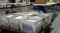 Local Supervisor of Elections sound alarms about mail-in voting ban