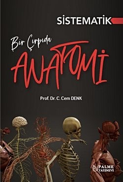 BİR ÇIRPIDA SİSTEMATİK ANATOMİ