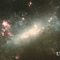 The Large Cloud of Magellan