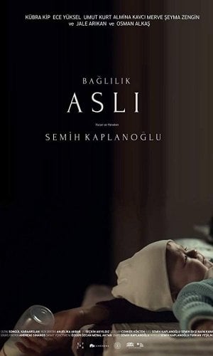 Bağlılık Aslı