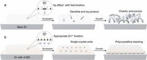 Innovative Solid-Electrolyte Interphase Enhances Zinc Battery Lifespan