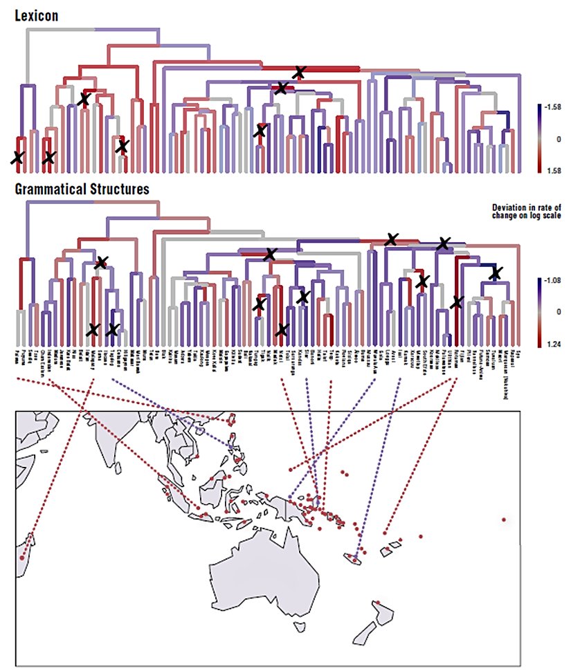 Araştırmada kullanılan dillerin coğrafi bölgeleri