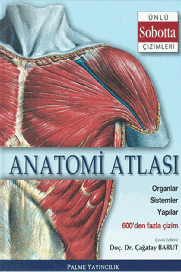 Anatomi Atlası Sobotta Çizimleri